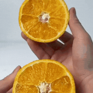 FRESH PRESS™  Exprimidor Mágico Portátil